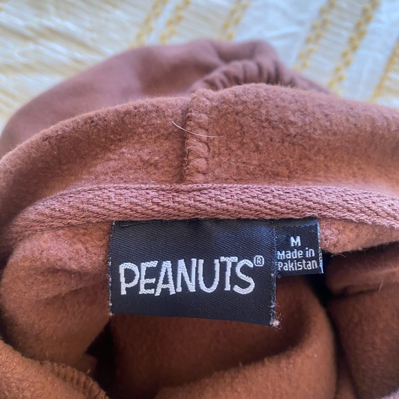 Peanuts Snoopy and Woodstock with Sunflower - Picture 4 of 4